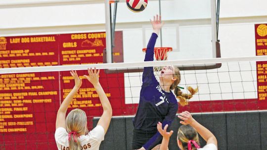 Awards aplenty for Tigerettes volleyball