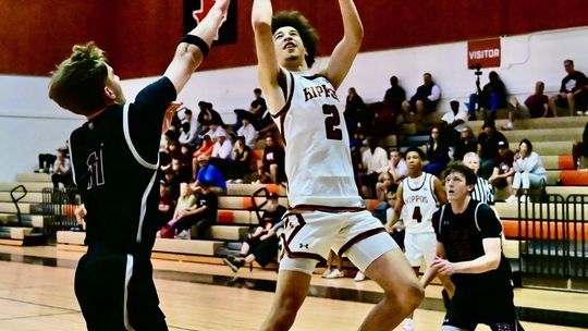 3-pointers drain Hippos in loss to Tigers