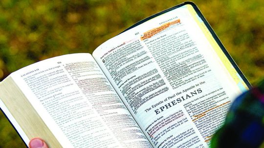 A single movement originating in God