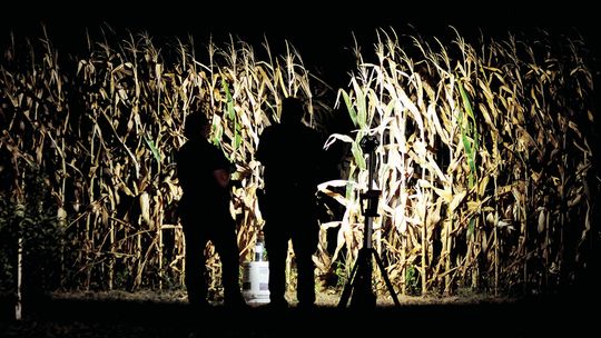 Responders investigate the opening of the cornfield where the body was found on July 7. Body is presumed to be the missing Taylor man who was last seen on June 20. Photo by Larry Pelchat