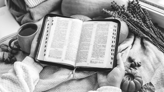 Avoiding a ‘toxic’ state of gratitude