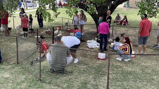 Fry’s Fun Farm brought an assortment of farm animals for a petting zoo at Blackland Prairie Day Saturday, May 6 at Heritage Square, 400 N. Main St. Bunnies laid beside buckets of ice water for a respite on a hot day.