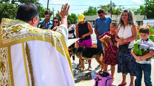 Blessing of the Animals