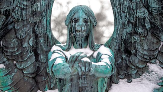 Care for the widow, the orphan and the stranger