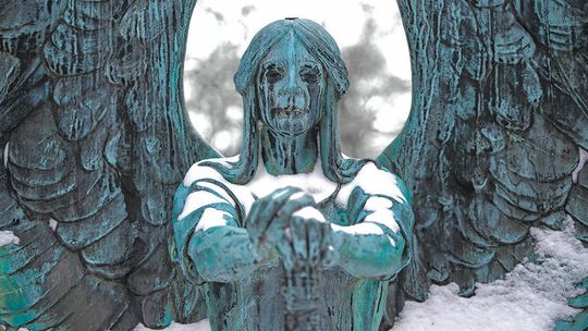 Care for the widow, the orphan and the stranger