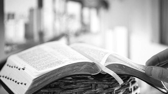 Covenant revisited: Part II