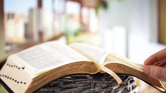 Covenant revisited: Part II