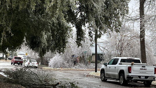 Tree limbs and power lines were down Feb. 1 in Taylor
