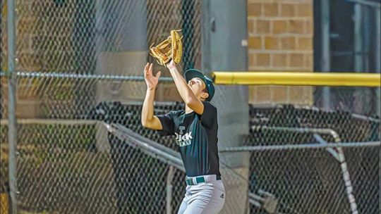 Ducks open preseason play