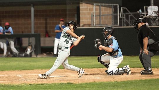 DUCKS SNAP 11 GAME SKID