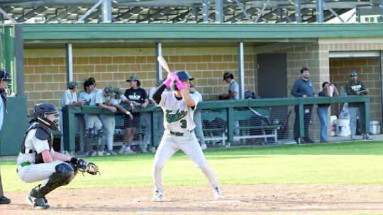 Ducks swept by Bulldogs