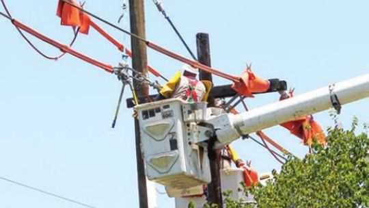 A utility worker works on a power line pole on Lake Drive in Taylor July 24, 2020. Photo by Fernando Castro