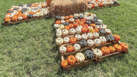 First United Methodist Church pumpkin patch debuts Oct. 5