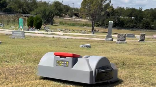 Help name Taylor’s new robots