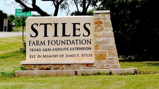 Stiles Farm is located at 5700 FM 1063 in Thrall. Courtesy photo