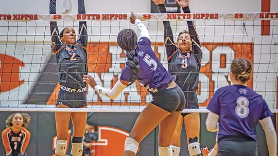 Hippos battle but fall to Vandergrift in straight sets