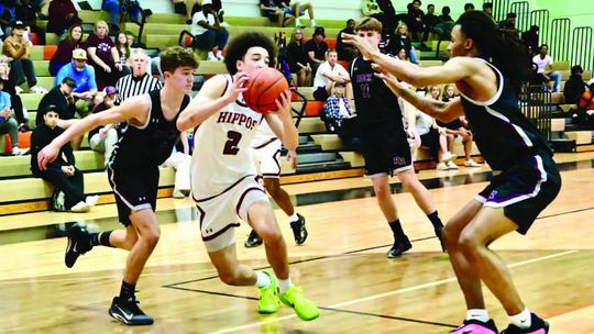 Hippos fall to Dragons, 65-52