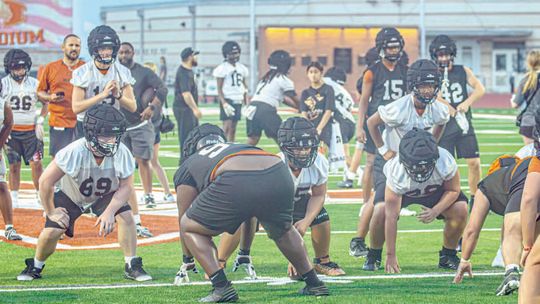 HIPPOS PUTTING IN THE WORK