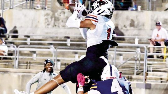Hippos roll Tigers, host Vipers in monster matchup
