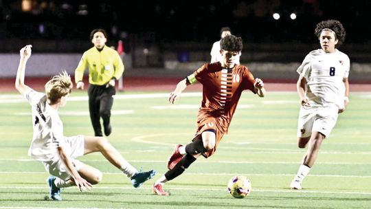 HIPPOS SOCCER TEAMS COMPETE IN TOURNAMENT PLAY