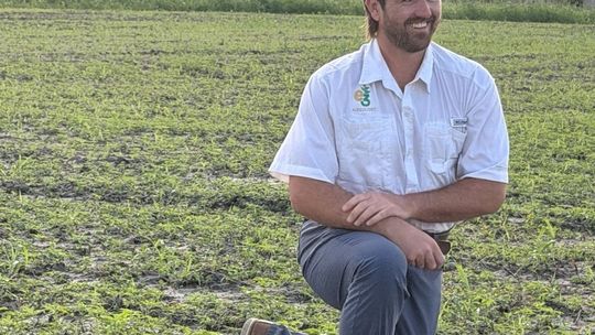 Historic Taylor gin to house hemp facility