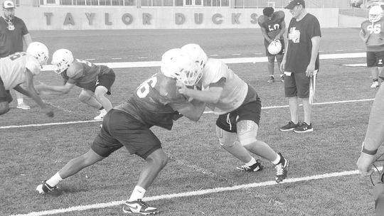 In the trenches