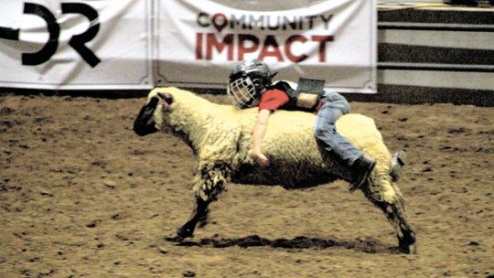 Inaugural youth rodeo on horizon in June