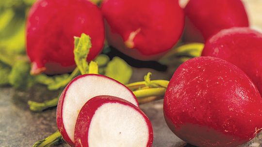 It’s cold: Time to plant your radishes