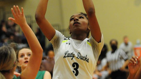 Lady Ducks earn district honors