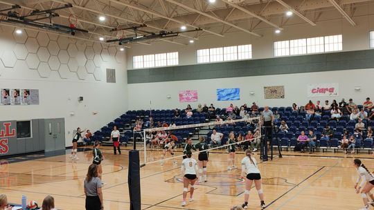 The Taylor Lady Ducks secured their spot in the playoffs with a 3-1 win in a five-set match over the Caldwell Hornets. The Lady Ducks won three sets by scores of 25-5, 25-20 and 25-17. The Lady Ducks still have one more game left in their regular season Tuesday, Oct.25, against the Smithvi...