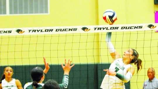 Lady Ducks fall to Buffaloes, 3-0