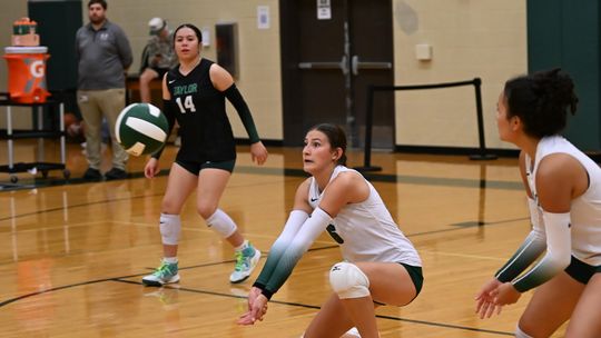 Lady Ducks fall to Elgin in home opener