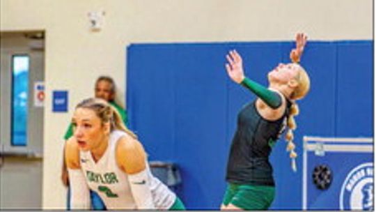Lady Ducks fall to New Tech, advance to bi-district