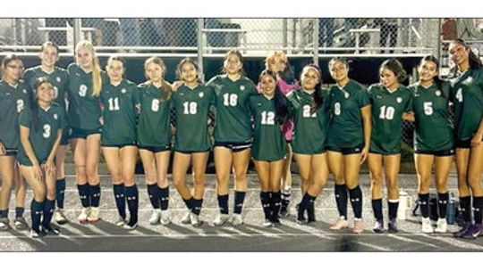 Lady Ducks fall to Pirates in first round exit