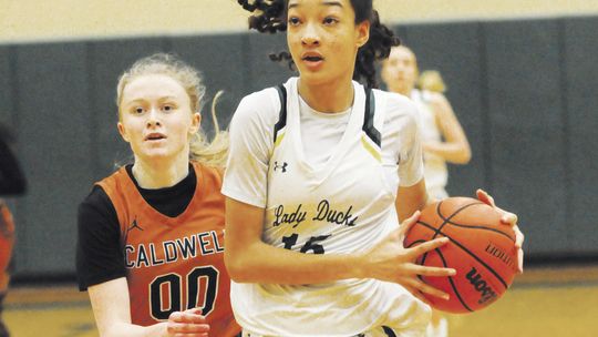 Lady Ducks reach district perfection