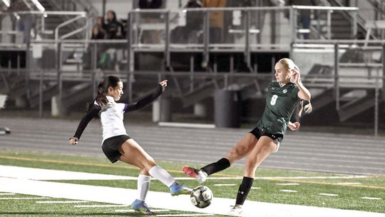 Lady Ducks set for bi-district round