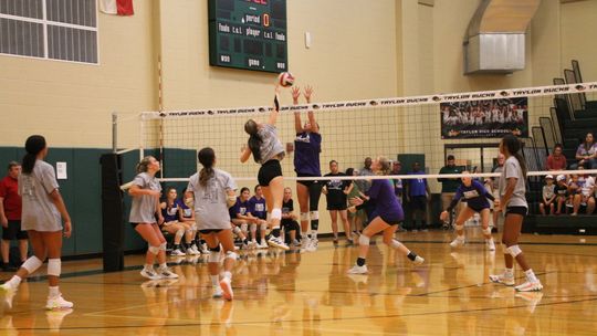 Taylor and Thrall varsity volleyball teams play in a head-to-head scrimmage on Friday, Aug. 4 at the Taylor High School gymnasium. Photo by Andrew Salmi