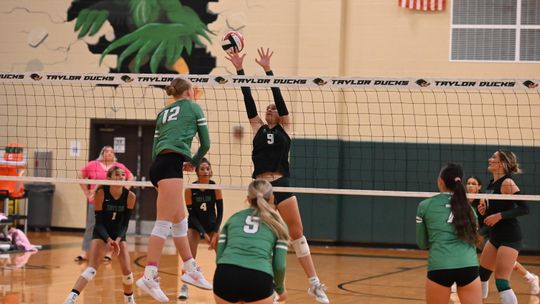 Lady Ducks volleyball concedes 3-1 to Lampasas