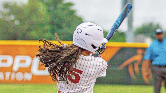 Lady Hippos clean up all-district awards