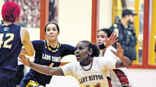 Lady Hippos fall to Stony Point