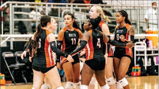 Lady Hippos fall to Tigers, 3-0