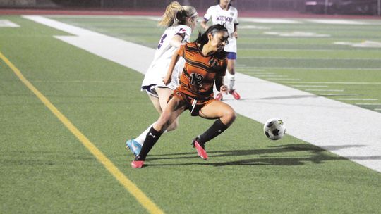 Lady Hippos knock off Lady Wildcats