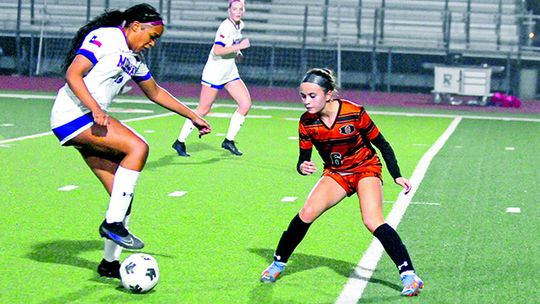 Lady Hippos trounce Harker Heights