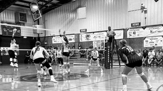 LADY LIONS FALL