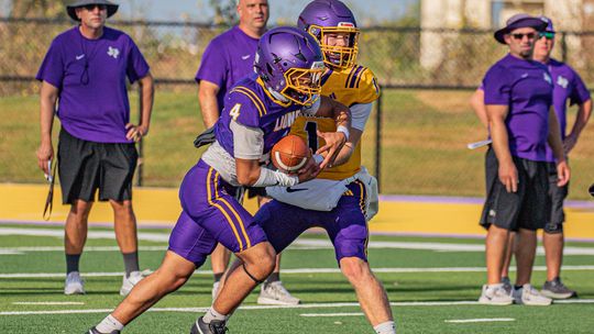 Lions dominate Hornets 52-12