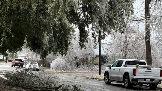 Downed tree limbs are causing outages all over the city