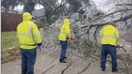 City crews work to clear fallen tree limbs in the aftermath of the ice storm. Courtesy photo by Robert Garcia