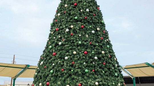 A tree lighting ceremony will be held at the conclusion of the city’s Very Merry Holiday Parade. Photo by Nicole Lessin