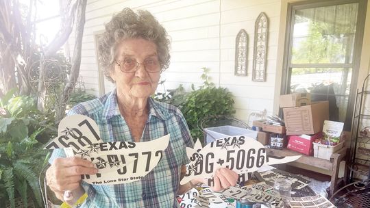 Pecans and license plate art