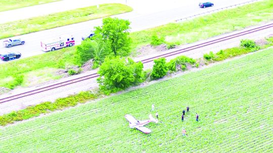 A quick-thinking pilot managed to avoid disaster Tuesday, April 25, by landing his ERCO Ercoupe aircraft in a corn field off U.S. 79 near County Road 431. Eyewitness Tim Mikeska, a pilot with the Aircraft Owners and Pilots Association Airport Support Network, said it was a great emergency...